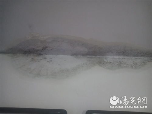 咸陽一小區(qū)多棟樓房漏雨